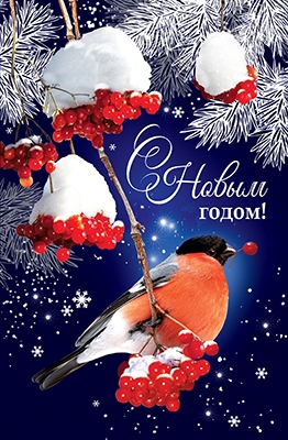 Открытка А5 С новым годом! 5Д- 2539