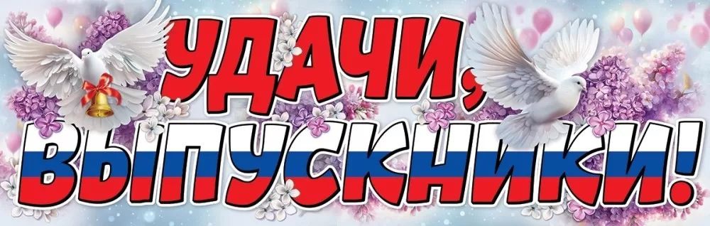 Плакат-полоска «Удачи, выпускники!» 3200340