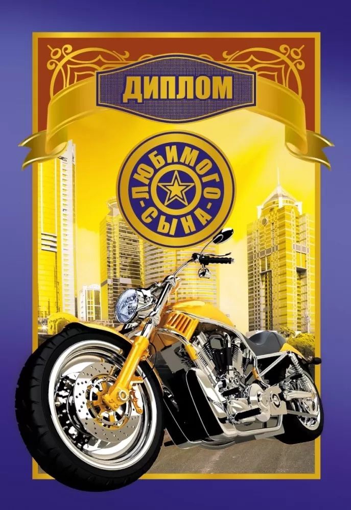 Диплом «Любимого Сына» 15.11.02314