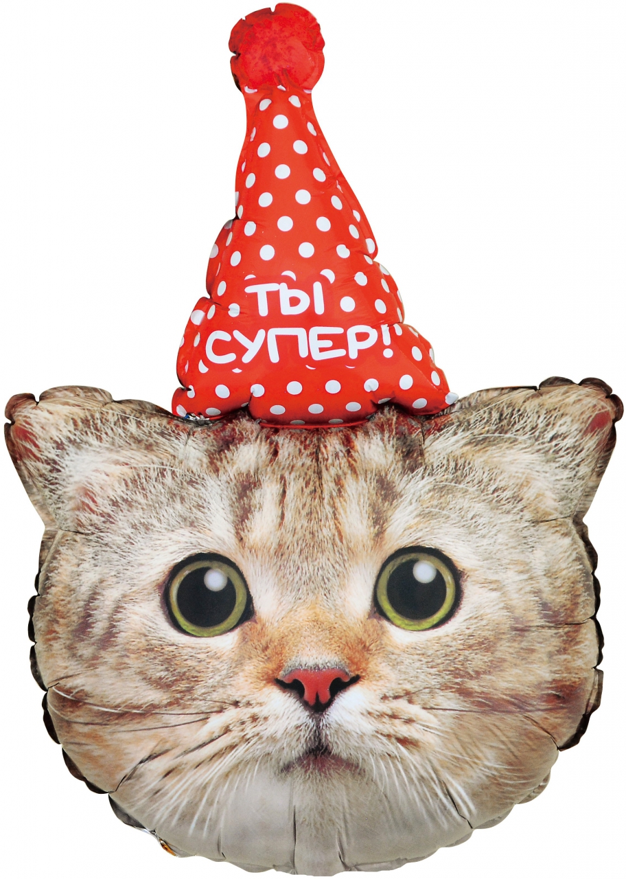 Фигура с гелием «Котик в колпачке» 32″‘/81см