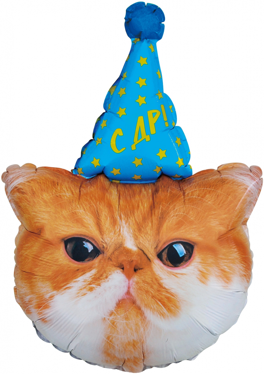 Фигура с гелием «Котенок в колпачке» 32″/81см