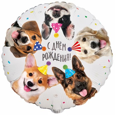 Круг с гелием «Собачки фотографичные» 18″/45см